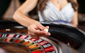 Platform taruhan 77 menyediakan akses ke football sportsbook, live casino, dan slot games